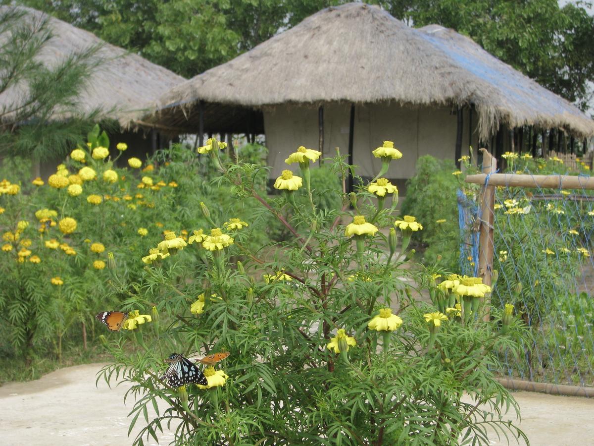 Estuarine Village Resort Sātabhāya Exterior foto